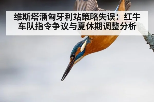 维斯塔潘匈牙利站策略失误：红牛车队指令争议与夏休期调整分析