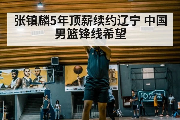 张镇麟5年顶薪续约辽宁 中国男篮锋线希望