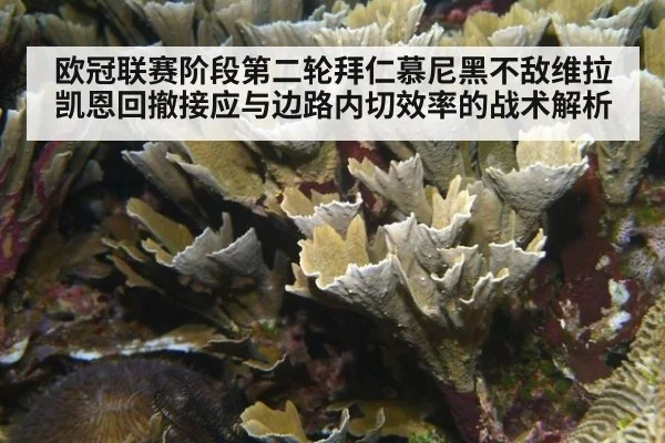 欧冠联赛阶段第二轮拜仁慕尼黑不敌维拉凯恩回撤接应与边路内切效率的战术解析