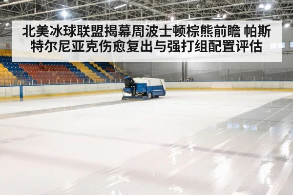北美冰球联盟揭幕周波士顿棕熊前瞻 帕斯特尔尼亚克伤愈复出与强打组配置评估